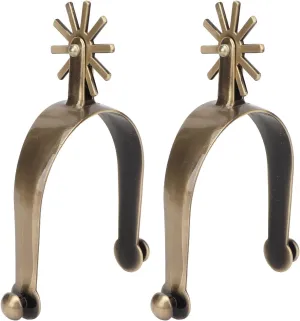 2Pcs Spurs for Boots Men, Spurs for Equestrian Training, Vintage Zinc Alloy Cowboy Spurs, Men Women Horse Boot Spurs, for Equestrian Enthusiasts (4.1 x 3in)