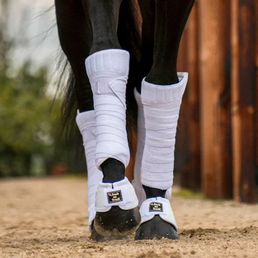 Back on Track Men's Performance Equine Durable Rubber Horse Protective Pair of Hoof Bell Boots with Loop Closure