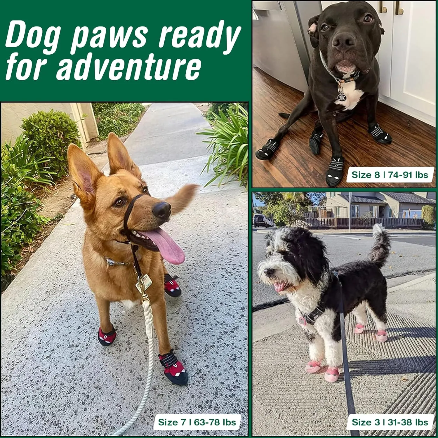 Dog Shoes for Small Dogs, Waterproof Dog Boots for Winter Snow, Summer Hot Pavement, Dog Booties & Paw Protectors Size 2
