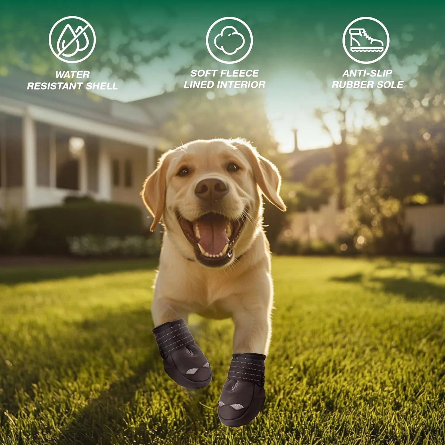 Dog Shoes for Small Dogs, Waterproof Dog Boots for Winter Snow, Summer Hot Pavement, Dog Booties & Paw Protectors Size 2